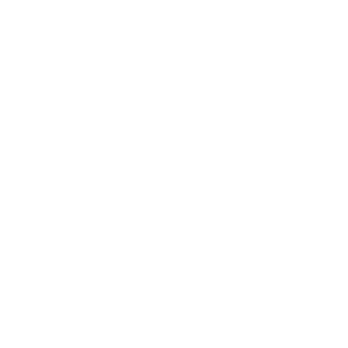 Troy Tapusoa logo